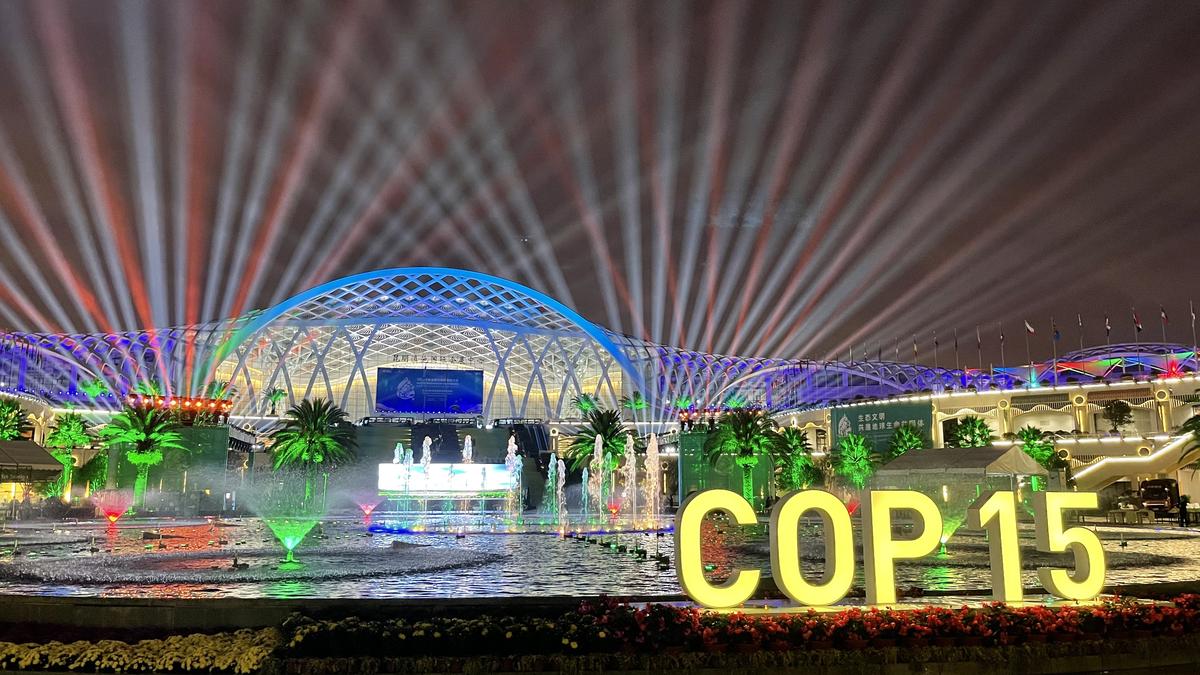 COP 15夜景.jpg