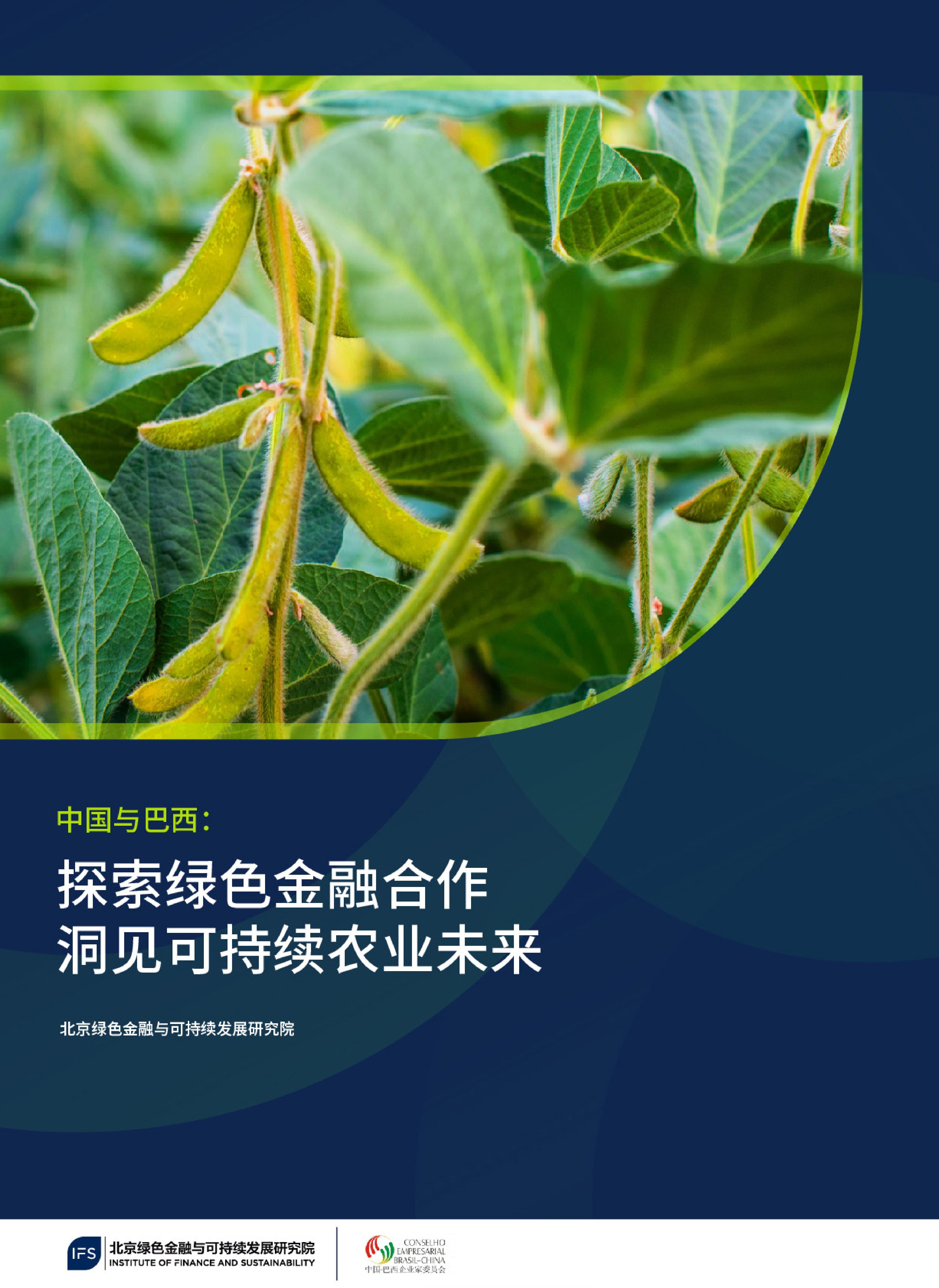 中国与巴西探索绿色金融合作、洞见可持续农_01.jpg